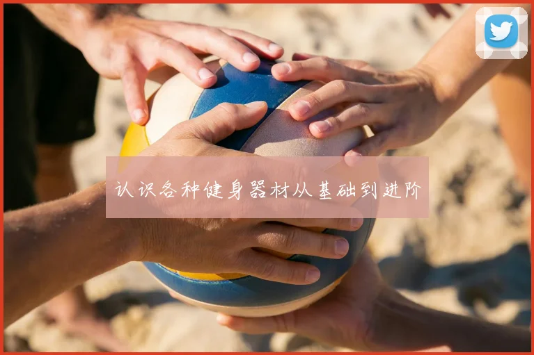 认识各种健身器材从基础到进阶