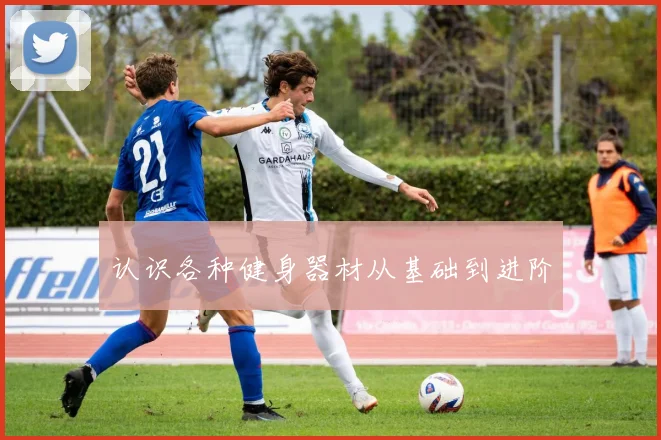 认识各种健身器材从基础到进阶